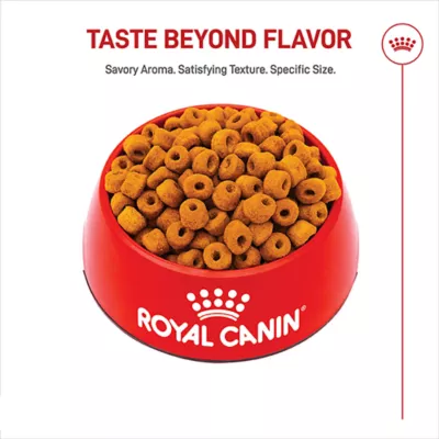 Royal Canin® Breed Health Nutrition® Labrador Retriever Adult Dog Dry Food - Image 2