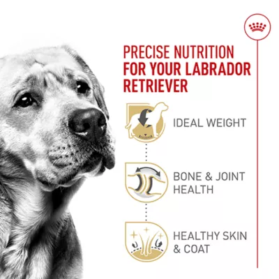 Royal Canin® Breed Health Nutrition® Labrador Retriever Adult Dog Dry Food - Image 3