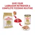 Royal Canin® Breed Health Nutrition® Labrador Retriever Adult Dog Dry Food image thumbnail 6