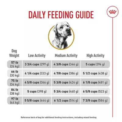 Royal Canin® Breed Health Nutrition® Labrador Retriever Adult Dog Dry Food - Image 10