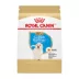 Royal Canin® Breed Health Nutrition® Golden Retriever Puppy Dog Dry Food image thumbnail 1