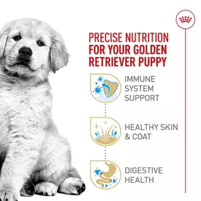 Royal Canin® Breed Health Nutrition® Golden Retriever Puppy Dog Dry Food - Image 3