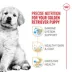 Royal Canin® Breed Health Nutrition® Golden Retriever Puppy Dog Dry Food image thumbnail 3