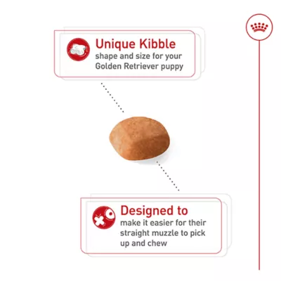 Royal Canin® Breed Health Nutrition® Golden Retriever Puppy Dog Dry Food - Image 5