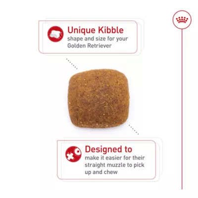 Royal Canin® Breed Health Nutrition® Golden Retriever Adult Dog Dry Food - Image 5