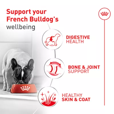 Royal Canin Breed Health Nutrition French Bulldog Adult Wet Dog Food - Multipack, 6 Count 18 oz - Image 2