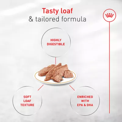 Royal Canin Breed Health Nutrition French Bulldog Adult Wet Dog Food - Multipack, 6 Count 18 oz - Image 3