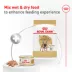 Royal Canin Breed Health Nutrition French Bulldog Adult Wet Dog Food - Multipack, 6 Count 18 oz image thumbnail 4