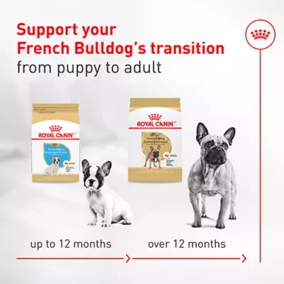 Royal Canin Breed Health Nutrition French Bulldog Adult Wet Dog Food - Multipack, 6 Count 18 oz - Image 5