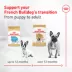Royal Canin Breed Health Nutrition French Bulldog Adult Wet Dog Food - Multipack, 6 Count 18 oz image thumbnail 5