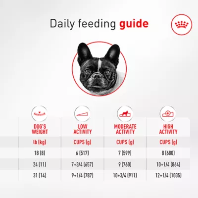 Royal Canin Breed Health Nutrition French Bulldog Adult Wet Dog Food - Multipack, 6 Count 18 oz - Image 7