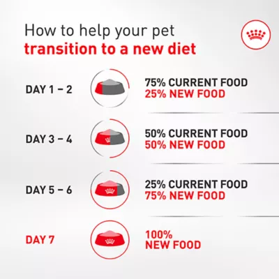 Royal Canin Breed Health Nutrition French Bulldog Adult Wet Dog Food - Multipack, 6 Count 18 oz - Image 8