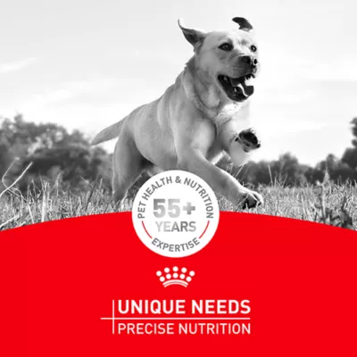 Royal Canin Breed Health Nutrition French Bulldog Adult Wet Dog Food - Multipack, 6 Count 18 oz - Image 9