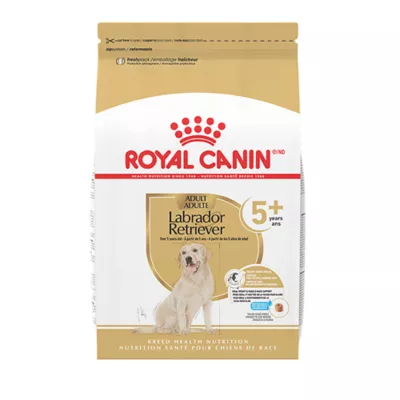 Royal Canin Breed Health Nutrition Labrador Retriever Senior 5+ Dry Dog Food - Image 1