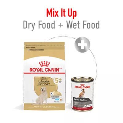 Royal Canin Breed Health Nutrition Labrador Retriever Senior 5+ Dry Dog Food - Image 4