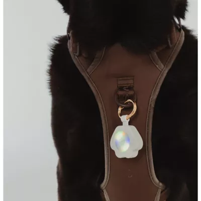 Dexypaws Rechargeable LED Collar Charm - Image 2