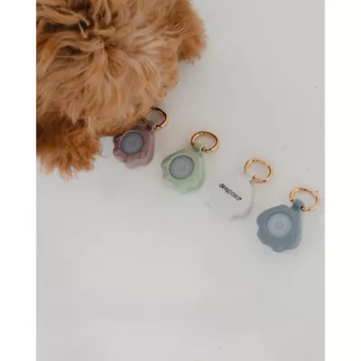 Dexypaws Rechargeable LED Collar Charm - Image 4