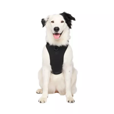 Canada Pooch Neoprene Dog Harness - Image 1