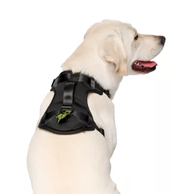 Canada Pooch Neoprene Dog Harness - Image 3