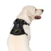 Canada Pooch Neoprene Dog Harness image thumbnail 3