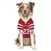 Pets First Christian McCaffrey 49ers Jersey image thumbnail 3