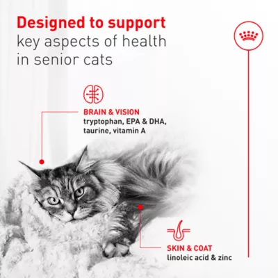 Royal Canin Feline Health Nutrition Aging 11+ Senior Dry Cat Food - Chicken, 6 lb - Image 2
