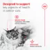 Royal Canin Feline Health Nutrition Aging 11+ Senior Dry Cat Food - Chicken, 6 lb image thumbnail 2