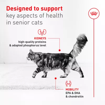 Royal Canin Feline Health Nutrition Aging 11+ Senior Dry Cat Food - Chicken, 6 lb - Image 3