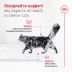 Royal Canin Feline Health Nutrition Aging 11+ Senior Dry Cat Food - Chicken, 6 lb image thumbnail 3