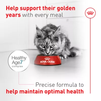 Royal Canin Feline Health Nutrition Aging 11+ Senior Dry Cat Food - Chicken, 6 lb - Image 4