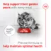 Royal Canin Feline Health Nutrition Aging 11+ Senior Dry Cat Food - Chicken, 6 lb image thumbnail 4