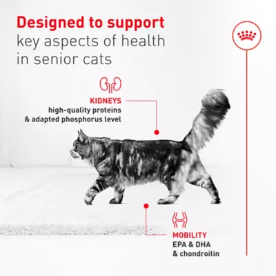 Royal Canin Feline Senior 11+ Wet Cat food - 5.1 OZ - Image 3