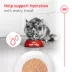 Royal Canin Feline Senior 11+ Wet Cat food - 5.1 OZ image thumbnail 4