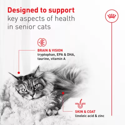 Royal Canin Feline Senior 11+ Wet Cat Food - Slices in Gravy, 3 Oz - Image 2