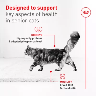 Royal Canin Feline Senior 11+ Wet Cat Food - Slices in Gravy, 3 Oz - Image 3