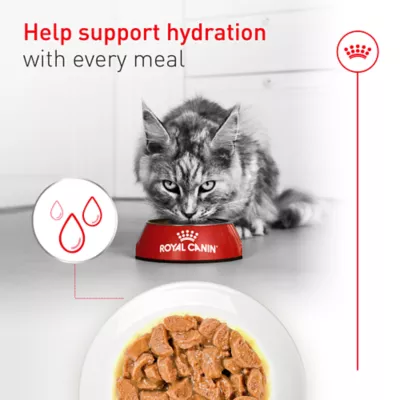 Royal Canin Feline Senior 11+ Wet Cat Food - Slices in Gravy, 3 Oz - Image 4