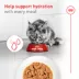 Royal Canin Feline Senior 11+ Wet Cat Food - Slices in Gravy, 3 Oz image thumbnail 4