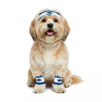 Tunesquad Sweatbands - Image 1