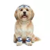 Tunesquad Sweatbands image thumbnail 1