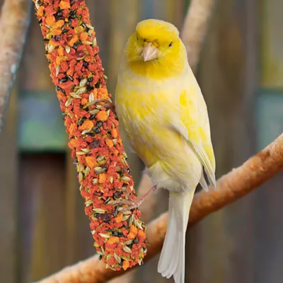 Vitakraft Crunch Sticks Variety Pack Canary and Finch Bird Treat - Image 4