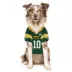 Pets First Jordan Love Packers Jersey image thumbnail 4