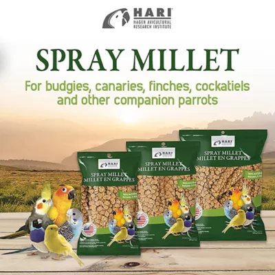 HARI Spray Millet Treat for Birds - Image 7