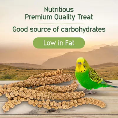 HARI Spray Millet Treat for Birds - Image 5