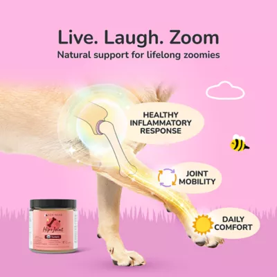 kin+kind Dog & Cat Hip & Joint Powder Supplement, Mobility & Joint Support,with Turmeric, 4 & 8 oz - Image 2
