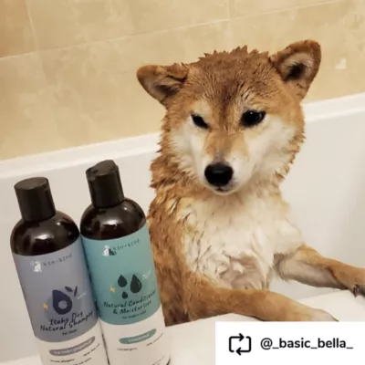 kin + kind Natural Shampoo For Itchy Dogs, Grapefruit Scented Allergen Remover- 12 Oz - Image 8