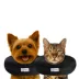 Comfurt Collar Dog & Cat Pet Recovery Collar, Stuffed Comfortable E-Collar, Black, Multiple Sizes image thumbnail 2