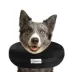 Comfurt Collar Pet Recovery Collar- Black image thumbnail 2