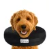Comfurt Collar Pet Recovery Collar- Black image thumbnail 2