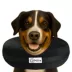 Comfurt Collar Pet Recovery Collar- Black image thumbnail 2
