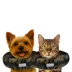 Comfurt Collar Pet Recovery Collar- Camo image thumbnail 2